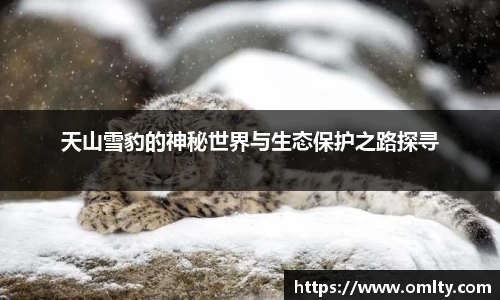 球友体育